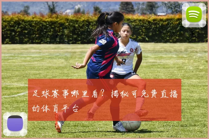 足球赛事哪里看？揭秘可免费直播的体育平台